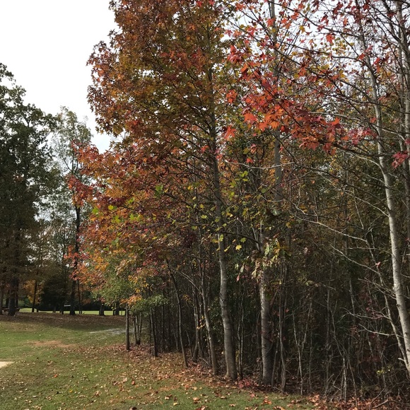 Meet your Posher, Ana - Picture 1 of 1